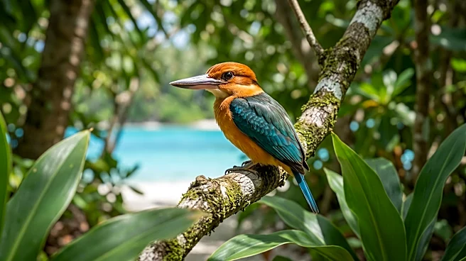 Brookfield Zoo Participates in International Effort to Restore Extinct-in-the-Wild Sihek Bird Population