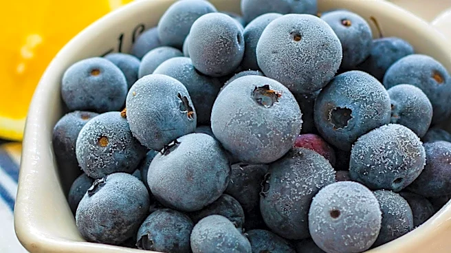 Florida Family Sues Publix and Quirch Foods Over E. coli-Tainted Frozen Blueberries Allegedly Causing Death