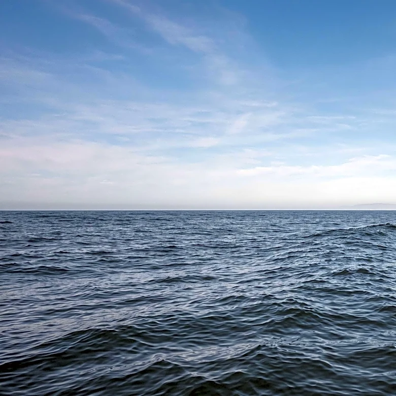 Military Training Jet Crashes Off California Coast, Pilot Rescued