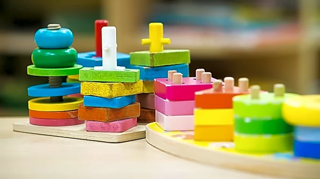 Florida Outlines Comprehensive Regulatory Framework for Daycare Licensing and Operation