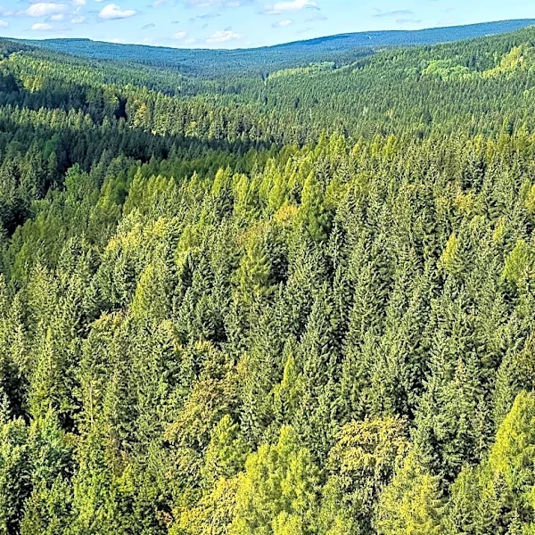Environmental Groups Oppose USDA Plan to Weaken National Forest Protections and Expand Motorized Use