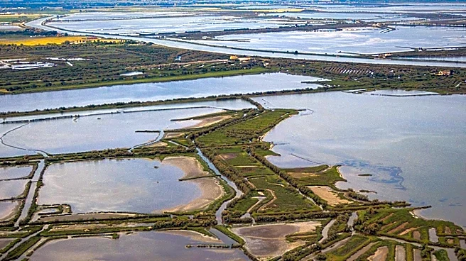 Congressman Mike Haridopolos Co-Leads Resolution for National Estuaries Week, Advocates for Coastal Resilience Bills