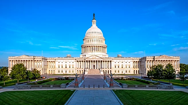 Senators Britt and Cruz Introduce Legislation to Manage Double-Crested Cormorant Populations