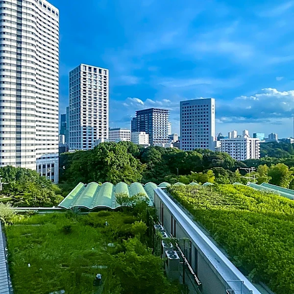 Detroit Water and Sewerage Department Implements Green Infrastructure to Manage Stormwater and Reduce Costs