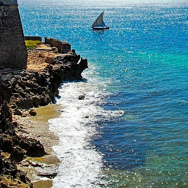 Mozambique Explores Debt-for-Nature Swaps to Boost Fiscal Resilience and Environmental Financing