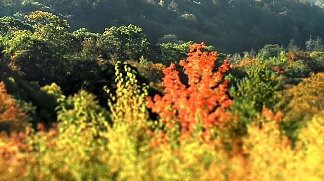 East Tennessee State University Experts Report Cooler Nights and Rain Improve Fall Color Prospects in Southern Appalachians