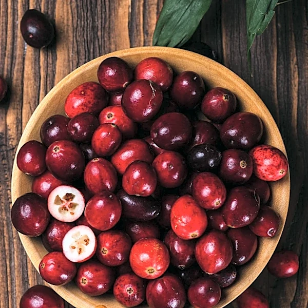USDA Expands Crop Insurance Options for Organic Cranberry and Stone Fruit Growers