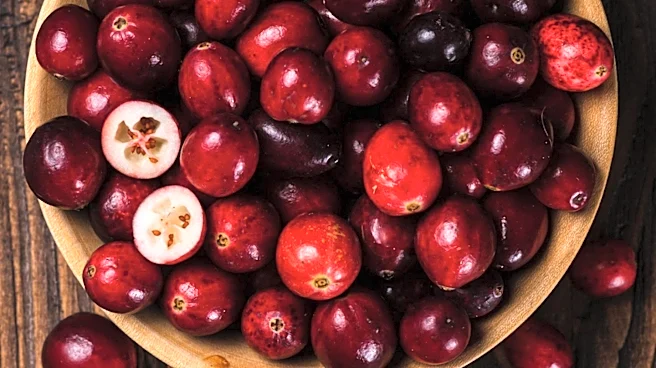 USDA Expands Crop Insurance Options for Organic Cranberry and Stone Fruit Growers