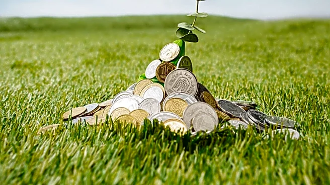 South African Millionaire Offers Financial Dividends to Principe Islanders for Nature Protection