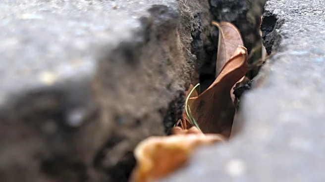 Maidstone Borough Council Utilizes Recycled Fast Fashion Waste for Pothole Repairs