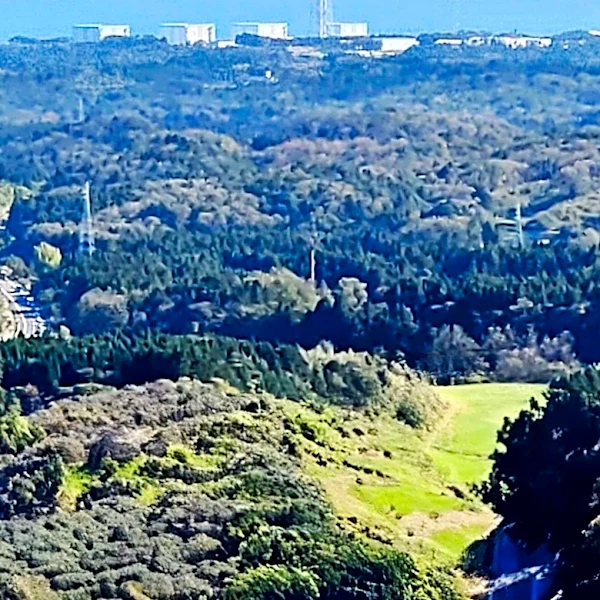 Salt Point State Park Offers Diverse Coastal and Forest Experiences in Sonoma