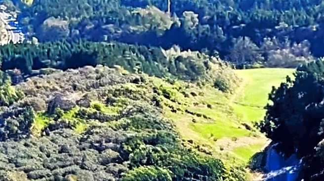 Salt Point State Park Offers Diverse Coastal and Forest Experiences in Sonoma