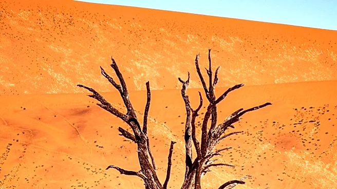 Sahel Region Faces Severe Environmental Degradation and Resource Scarcity