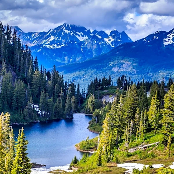 Washington Public Lands Commissioner Proposes New Funding to Protect Forests and Support Local Governments