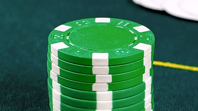 Definition of 'Play' Encompasses Diverse Activities from Dramatic Arts to Recreation and Gambling