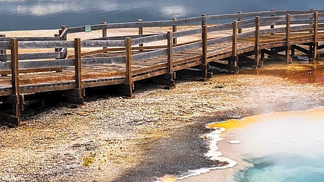 Yellowstone National Park's Divide Trail Faces Maintenance Challenges, Offering Limited Views