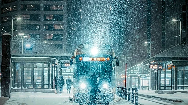 Motorist Flees Scene After Crashing into Light Rail Train in Downtown Minneapolis