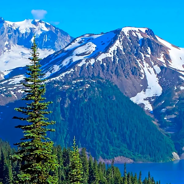 Washington Public Lands Commissioner Proposes Funding for State Forest Conservation, Adjusts Acreage Goal