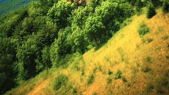 Ulster County Seeks Bids for New Public Safety Radio Tower in Rosendale, NY