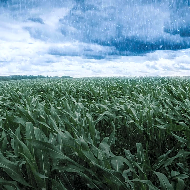 Connecticut Farmers Eligible for $52.9 Million in Federal Disaster Relief Funding