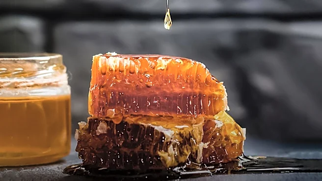 Tokyo's Ginza District Celebrates 20 Years of Urban Beekeeping with Record Honey Harvest