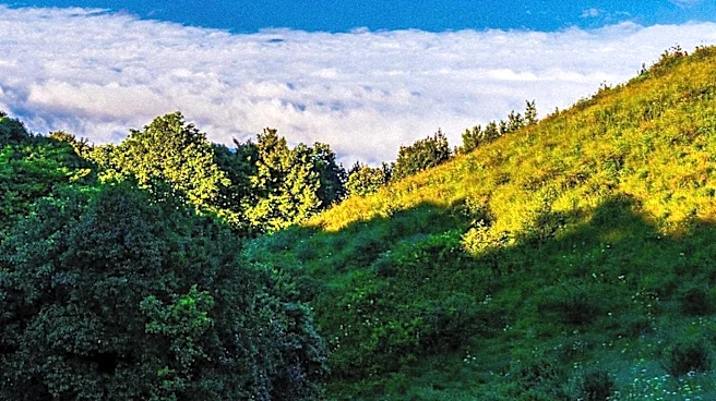 Mount Tamalpais State Park Offers Scenic Vistas and Recreational Opportunities North of San Francisco