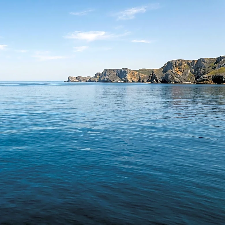 Europe Experiences Record Marine Heatwaves, Threatening Fisheries and Ecosystems