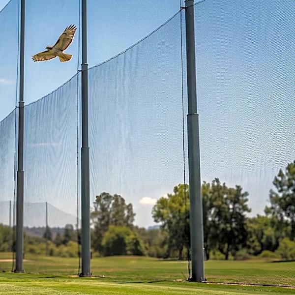 Animal Activists Allege Topgolf Nets Harm Thousands of Birds, Threaten Legal Action