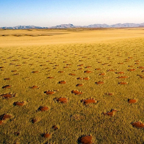 University of Arizona Researchers Reveal Escalating 'Boom-and-Bust' Dynamic in Greening Drylands, Challenging Global Vegetation Models