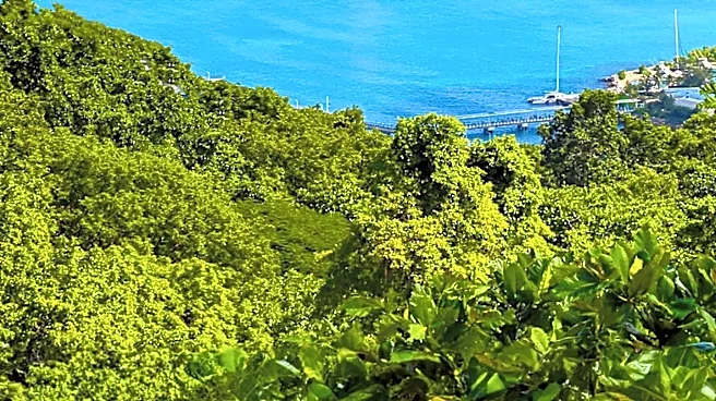UNESCO Engages with Jamaica on National Policy for Culture, Entertainment, and Creative Economy