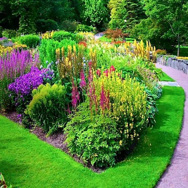 Michigan Gardener Lynn O’Shaughnessy Cultivates 100-Foot Circle Garden Focused on Native Plants and Pollinator Habitat
