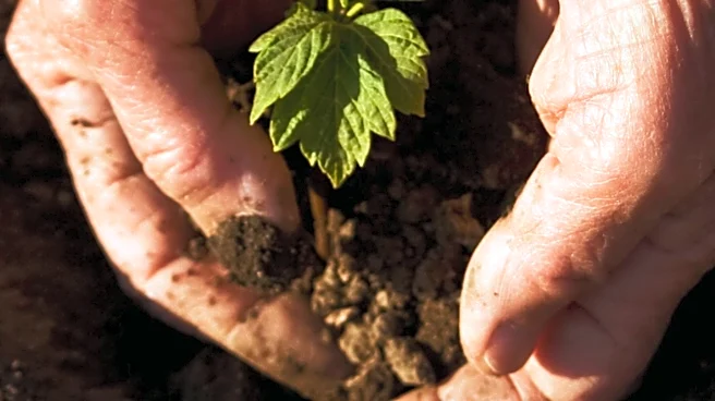 University of Maryland's Terp Farm Advocates Fall Planting for Food Security Amid Recalls and Rising Costs