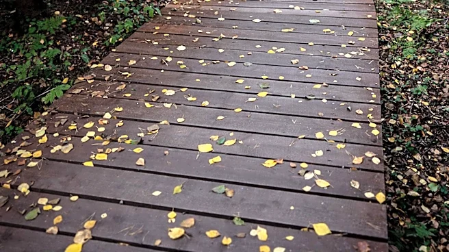 Joyce Kilmer Memorial Forest Offers Uncrowded Hiking Alternative to Great Smoky Mountains National Park