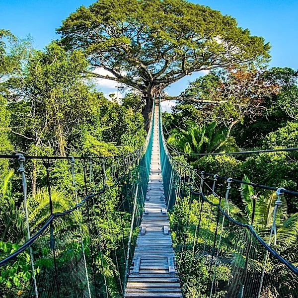 Ecotourism Principles Emphasize Conservation and Community Benefits for Responsible Travel