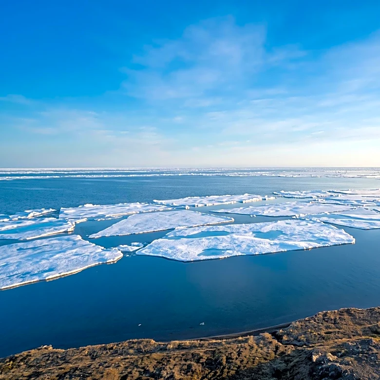 Three Whaling Crews Successfully Harvest Bowhead Whales, Delivering Traditional Food to Utqiaġvik Community