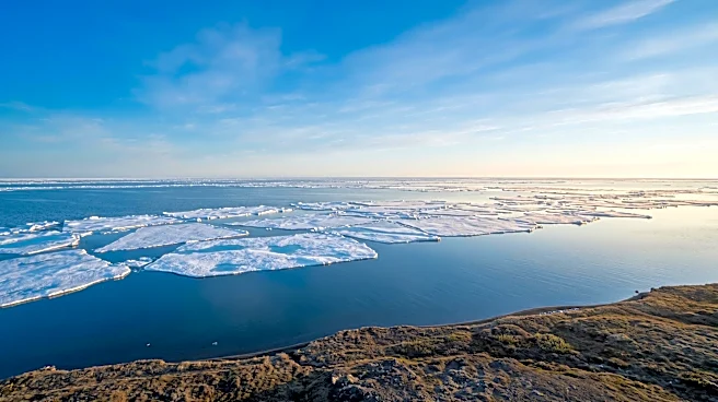 Three Whaling Crews Successfully Harvest Bowhead Whales, Delivering Traditional Food to Utqiaġvik Community