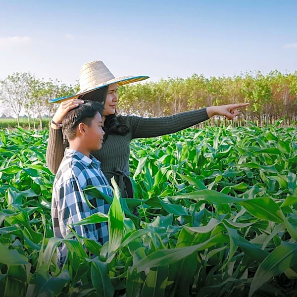 4-H Programs Innovate to Provide Livestock Experience for Non-Farm Youth in South Dakota