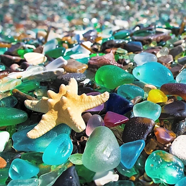 New Orleans Students Upcycle 14 Million Pounds of Glass into Coastal Sand to Combat Land Loss