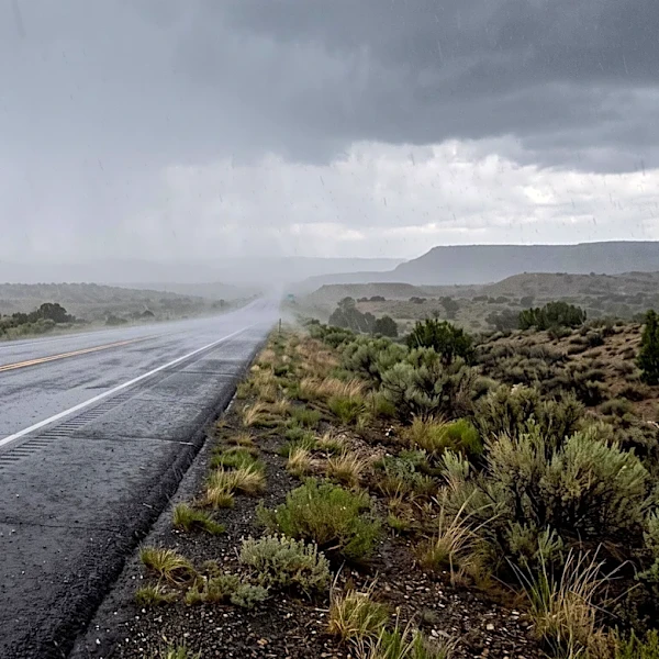 New Mexico State Police Report Fatal Crash on US 550 Attributed to Heavy Rain