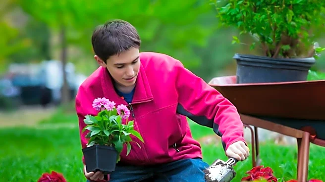 City of Aurora Highlights Downtown Services Manager Abby Schuler's Role in Urban Beautification and Maintenance