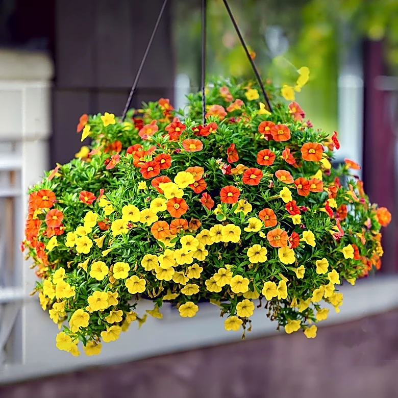 Escanaba DDA Enhances Downtown Floral Displays with New Maintenance Plan