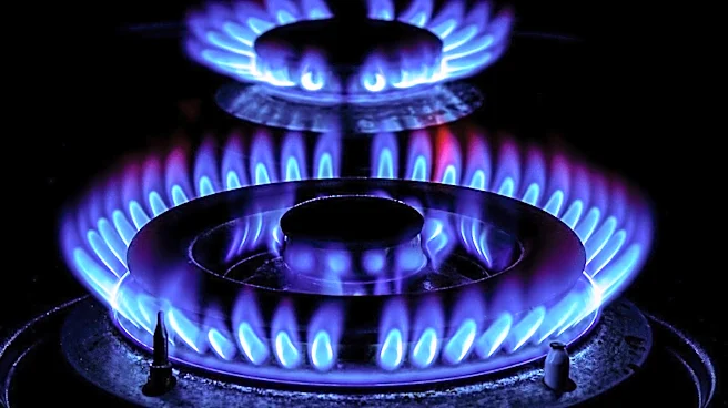 Propane and Natural Gas: A Comparative Analysis of Home Fuel Sources