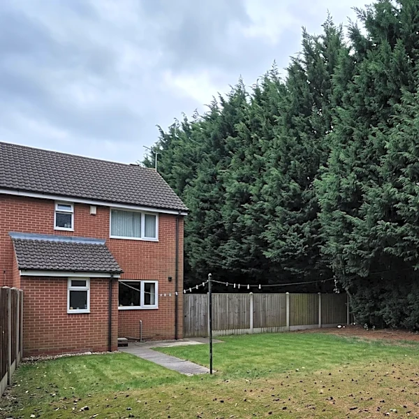 Staffordshire Moorlands Residents Call for Removal of 60ft Trees Near Homes