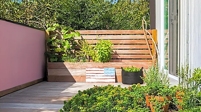 San Francisco ADU Designed as Elevated Garden Shed Offers Alternative Living Space