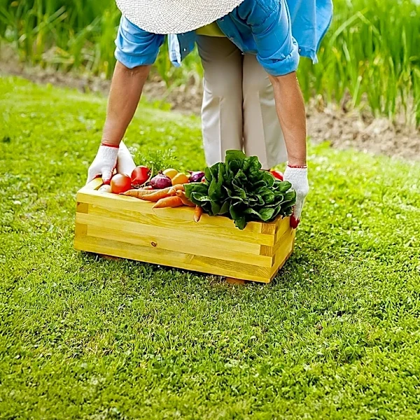 Karen Refugees Establish Permanent Community Garden in West Philadelphia