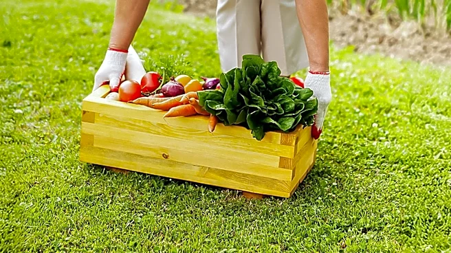 Karen Refugees Establish Permanent Community Garden in West Philadelphia