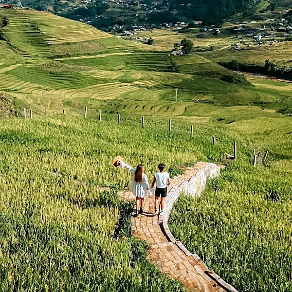 Eco-Tourism Emphasizes Sustainable Travel Practices and Local Community Engagement