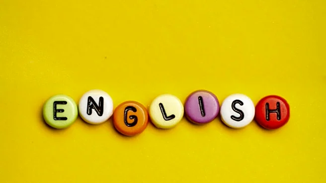 Grammatical Use of 'Wish' Explored in English Language