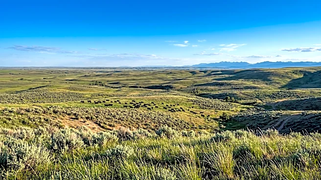 University of Wyoming Researchers Identify Soil Carbon Sequestration as Key Research Gap in Livestock Methane Emissions Studies