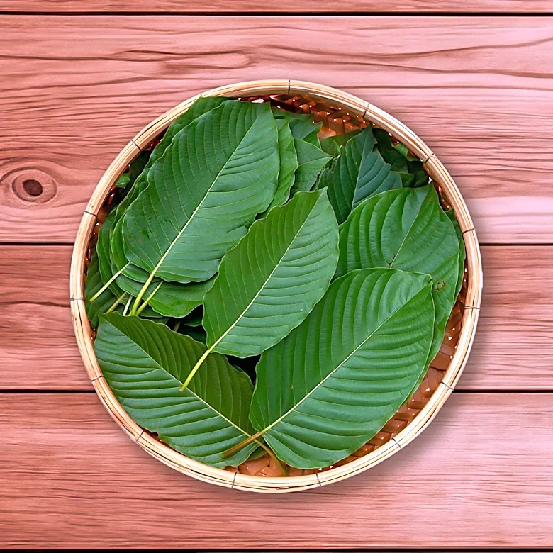 Canton Police Chief Raises Alarm Over Unregulated Kratom Derivative 7-OH
